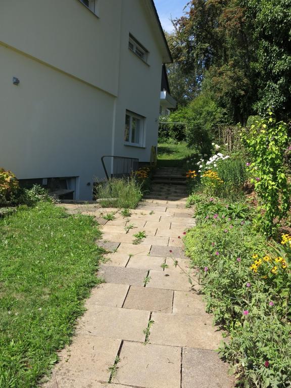 Zentrales 2-Zimmer Apartment Tübingen Værelse billede